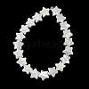 Natural Trochid Shell/Trochus Shell Beads Strands SH-CBA2978-17B-4