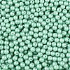 Glass Seed Beads SEED-T007-01M-2