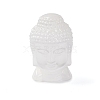 Natural Selenite Figurines DJEW-Q006-01A-1