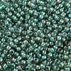 TOHO Round Seed Beads SEED-JPTR11-0953-2