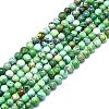 Natural Variscite Beads Strands G-F715-109A-1