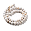Synthetic Turquoise and Sea Shell Assembled Beads Strands G-D482-01D-05-3