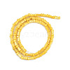 Natural Freshwater Shell Beads Strands SHEL-G013-02H-2