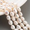 Natural Cultured Freshwater Pearl Beads Strands PEAR-P062-29F-2