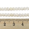 Natural Freshwater Shell Beads Strands BSHE-Z005-02-4