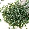 TOHO Round Seed Beads SEED-XTR08-0380-1