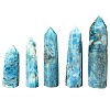 Pointed Tower Natural Apatite Healing Stone Wands PW-WGF9913-01-2