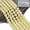 Eco-Friendly Dyed Glass Pearl Round Beads Strands HY-A002-10mm-RB012-4