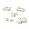 Natural Trochid Shell Connector Charms PALLOY-JF02810-02-1