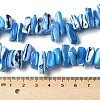 Dyed Natural Trochus Shell Beads Strands SSHEL-C013-09F-4