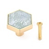 Hexagon with Marble Pattern Brass Box Handles & Knobs DIY-P054-C01-1