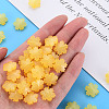 Imitation Jelly Acrylic Beads LS-MACR-S373-92-E07-6