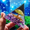 Orgonite Pyramid with Tree Resin Energy Generators PW-WG52F5B-19-1