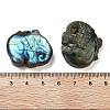 Natural Labradorite Carved Cabochons G-C152-11-3