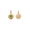 Brass Enamel Charms X-KK-S356-671G-NF-3