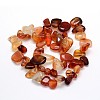 Natural Carnelian Beads Strands G-O050-05-2
