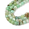 Natural Chrysoprase Beads Strands G-G140-C07-02A-3