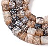 Natural Weathered Agate Beads Strands G-NH0038-01C-3
