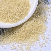 MIYUKI Delica Beads SEED-X0054-DB1287-1