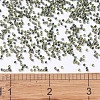 MIYUKI Delica Beads SEED-MY11-DB0273-4