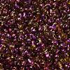 Spray Painted Glass Seed Beads SEED-F005-02A-02-3