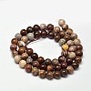 Natural Petrified Wood Round Bead Strands G-F266-08-6mm-3