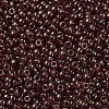 MIYUKI Round Rocailles Beads X-SEED-G007-RR0309-3