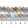 Dyed Natural Regalite/Imperial Jasper/Sea Sediment Jasper Beads Strands G-B124-C01-03-5