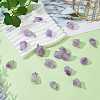 20Pcs Natural Amethyst Pendants G-FI0001-33-5
