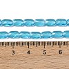 Transparent Glass Beads Strands GLAA-Z018-C23-4