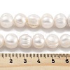 Natural Cultured Freshwater Pearl Beads Strands PEAR-C003-21B-5