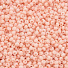 8/0 Opaque Glass Seed Beads X1-SEED-S048-N-013-3