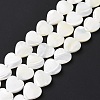 Natural Trochus Shell Beads Strands SSHEL-H070-06D-3