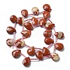 Natural Red Jasper Beads Strands G-K382-C04-01-3