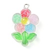 Translucent Resin Pendants RESI-Z014-02D-1