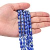 Natural Lapis Lazuli Beads Strands G-K311-10B-03-2