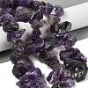 Natural Amethyst Beads Strands G-Q023-G01-01-2