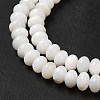 Natural Freshwater Shell Beads Strands BSHE-E026-15B-02-4