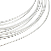 925 Sterling Silver Wire FIND-BBC0002-89D-1