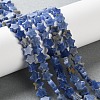 Natural Sodalite Beads Strands G-G085-B46-02-1