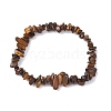 Natural Tiger Eye Chip Beaded Stretch Bracelets for Women Men BJEW-JB10647-01-1