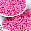 Baking Paint Glass Seed Beads SEED-B001-02A-01-1