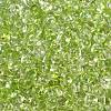 6/0 Spray Paint Glass Seed Beads SEED-H003-11N-2