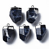 Natural Sodalite Pendants G-Q998-032-2