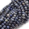 Natural Sodalite Round Beads Strands G-P075-07-8mm-1