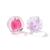 Transparent Acrylic Beads LS-OACR-H112-04A-2