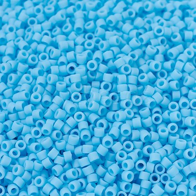MIYUKI Delica Beads X-SEED-J020-DB0755-1