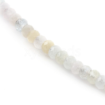 Rondelle Natural Morganite Beaded Necklaces NJEW-JN03404-01-1