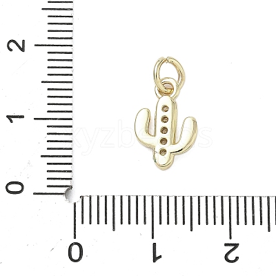 Brass Micro Pave Cubic Zirconia Charms KK-K368-04A-G-1