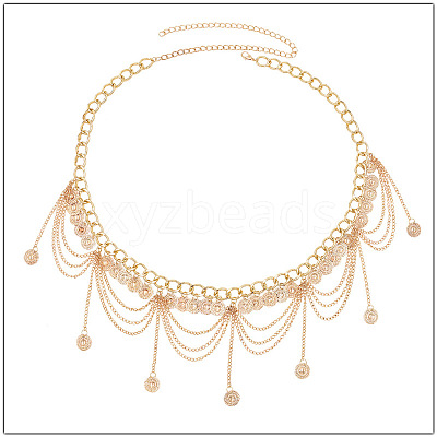Ethnic Style Alloy Coin Tassel Waist Chains for Women FS-WGA1C87-01-1